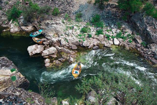 طبیعت Frank Church