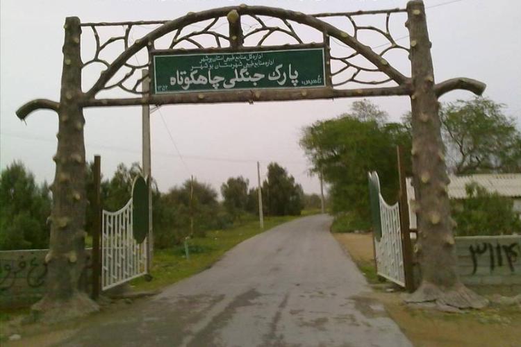 پارک جنگلی چاه کوتاه