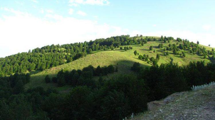 ییلاق آندره
