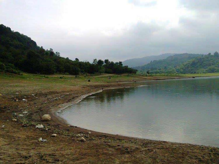 جنگل شیاده