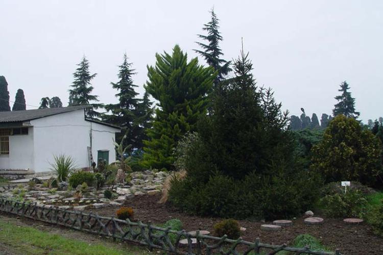 باغ اکولوژی نوشهر