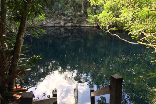 سینوتی آنجلیتا