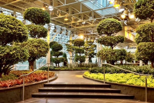 باغ های Devonian