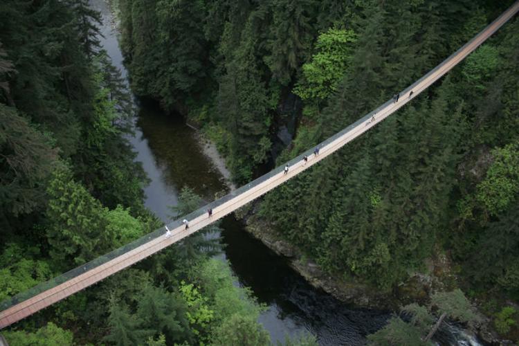 پل معلق Capilano