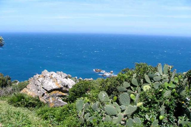 کیپ مالاباتا