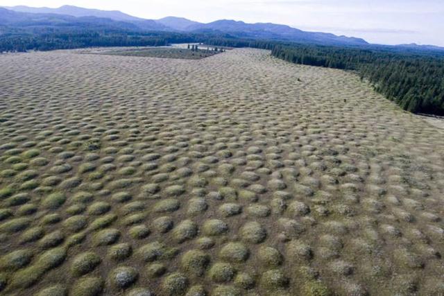 تپه های اسرارآمیز میما