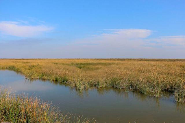 2018-2-679bc560-aafd-4345-a489-af0fc15e9da6