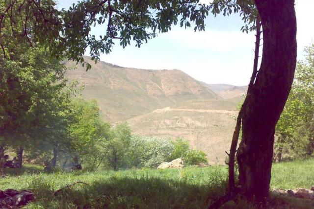 2018-3-3c7c9929-8e83-4142-b60a-6d1b663af0a4