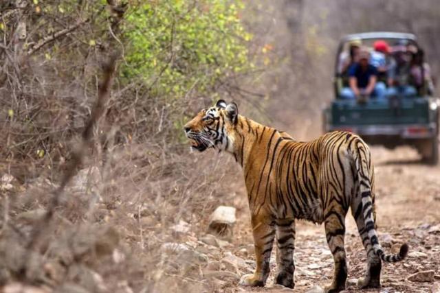 2018-4-bc72edd4-b3d5-4bd4-8f08-0ff4261239df