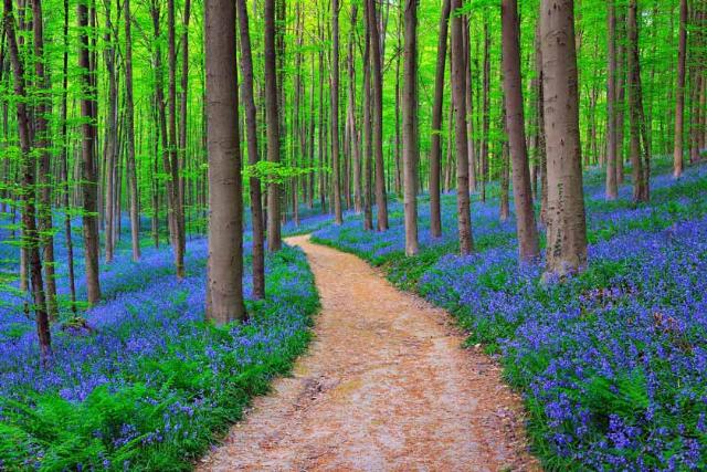 2018-4-c1f77b05-94e3-469e-8f37-fc23716b8e65