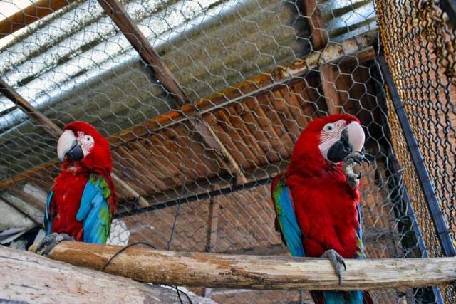 2018-4-df233dea-f42c-40f4-9b80-4c2aeedbd74f