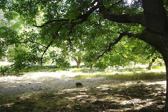 منطقه کوهستانی چهار گنبد