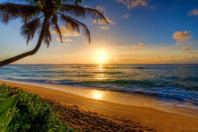 2018-5-4bbeec77-0af6-4bea-bf2d-fcb39405225f