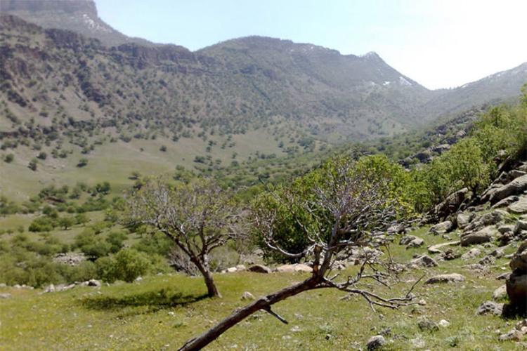 منطقه حفاظت‌شده کوه خامین