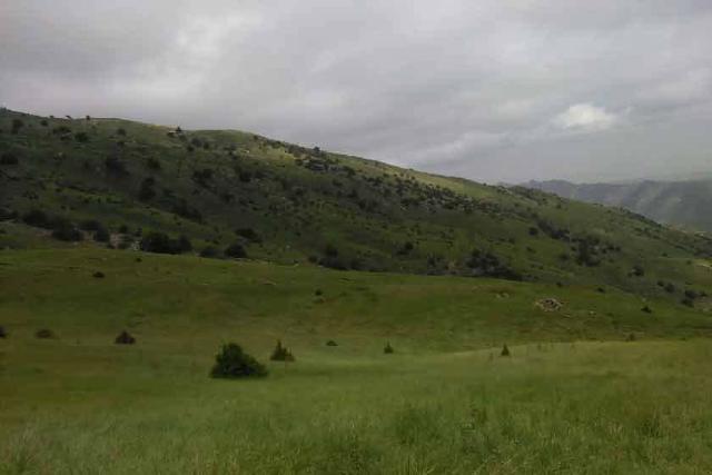 2018-5-c337bc43-2449-442c-b65d-d85ca4c28772