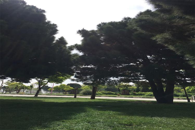 پارک بانک استان 