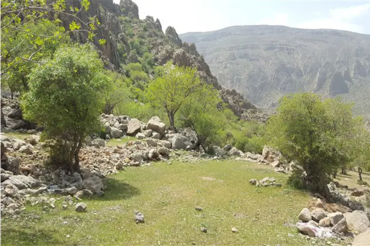 تیر باغ 