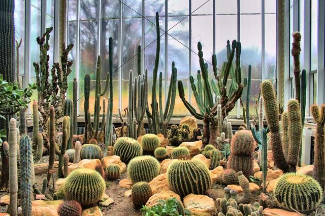 2018-5-2ffa4725-cc38-4f6f-96e3-c40140c0a729