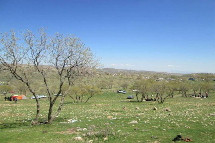 منطقه جنگلی گلال سیاه