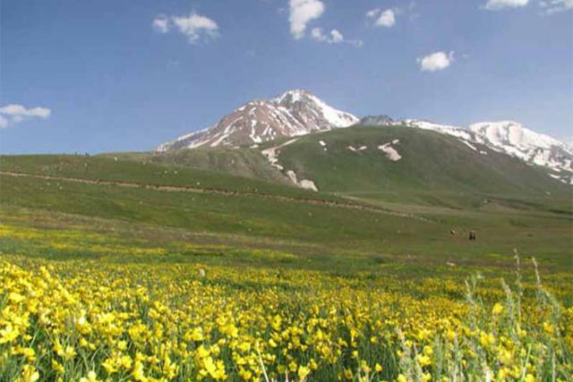 هوشنگ میدانی