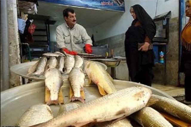 بازار ماهی‌فروشان