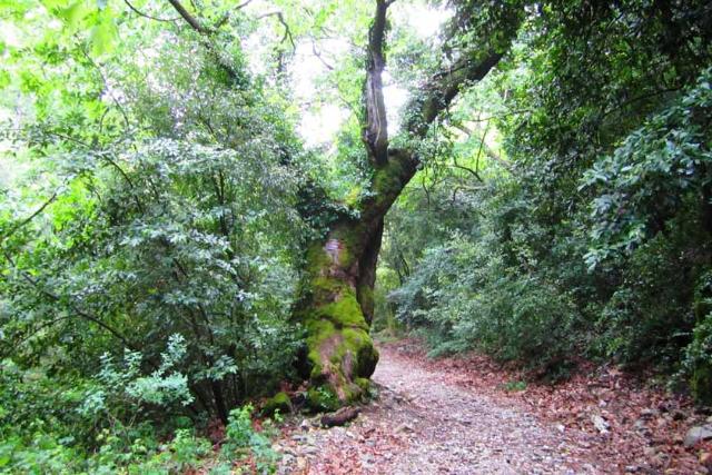 2018-6-c90d8c90-6ffd-4322-a66e-5b6590dea707