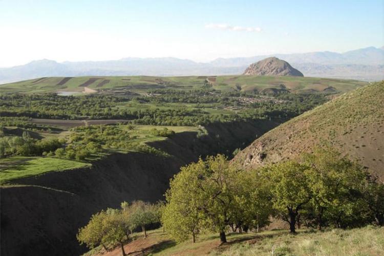منطقه محافظت‌شده علمدار داغی