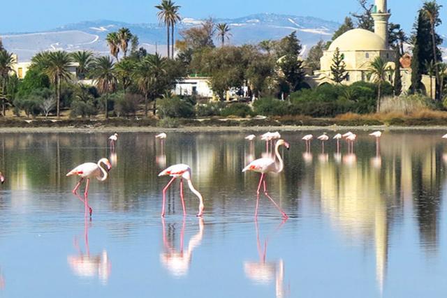 2018-6-7b86f54b-0a4d-49d0-b489-1bae000eb582