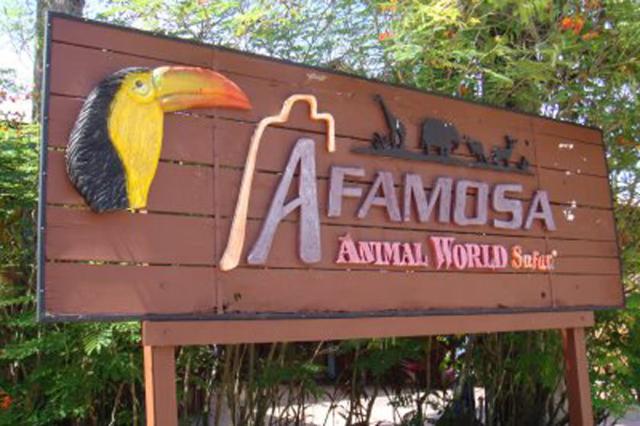 2018-7-bfd8bbd3-fc48-4721-951d-e35112efc45c