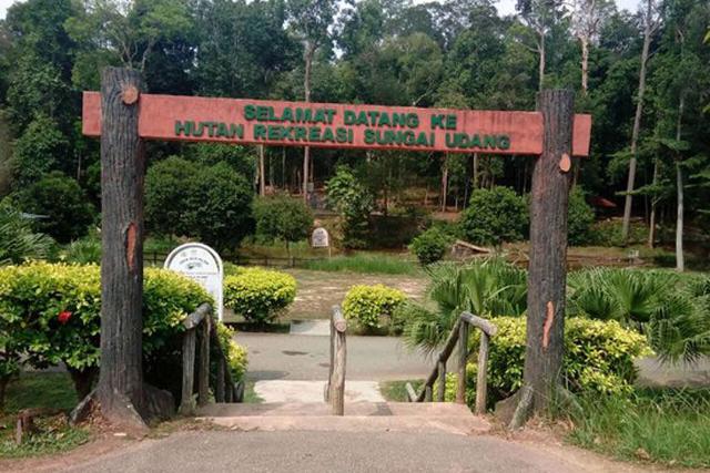 2018-7-e67b1a04-e408-40b4-8adf-44f765c5c5df