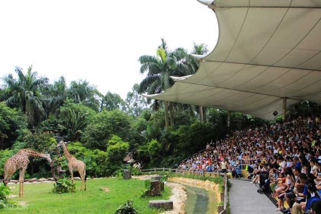 2018-7-116d0357-fc1a-4cec-8554-db0c714e0087