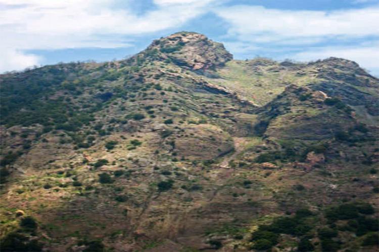 پارک ملی وزوویوس