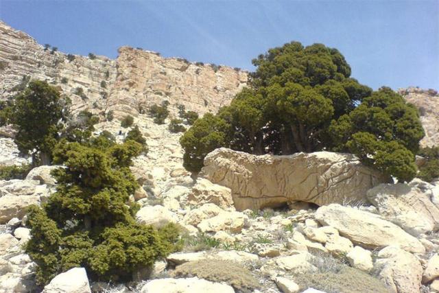 چالقفا
