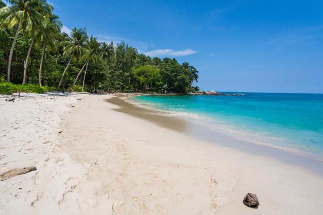 2018-7-0743a4f3-1ff3-4942-a0d9-353f8f61310e