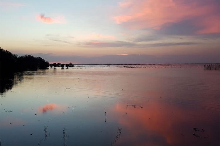 Center for Ecotourism