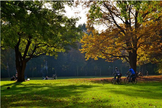 پارک تیرگارتن