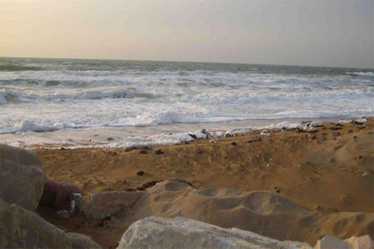 جزیره تهمادون