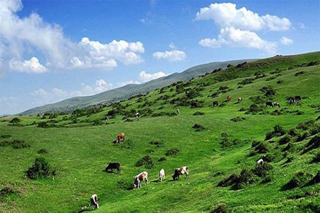 منطقه شکار ممنوع دیلمان