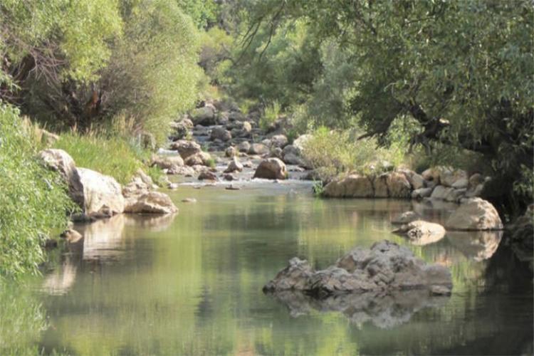 تنگ تیزاب