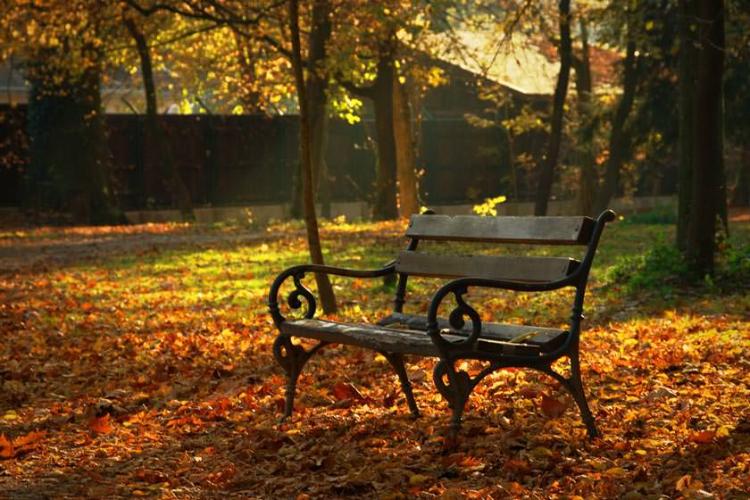 پارک ماکسیمیر