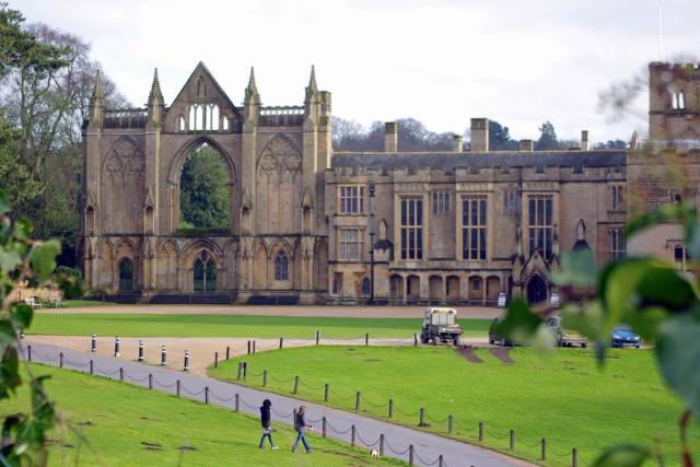 نیواستد ابی