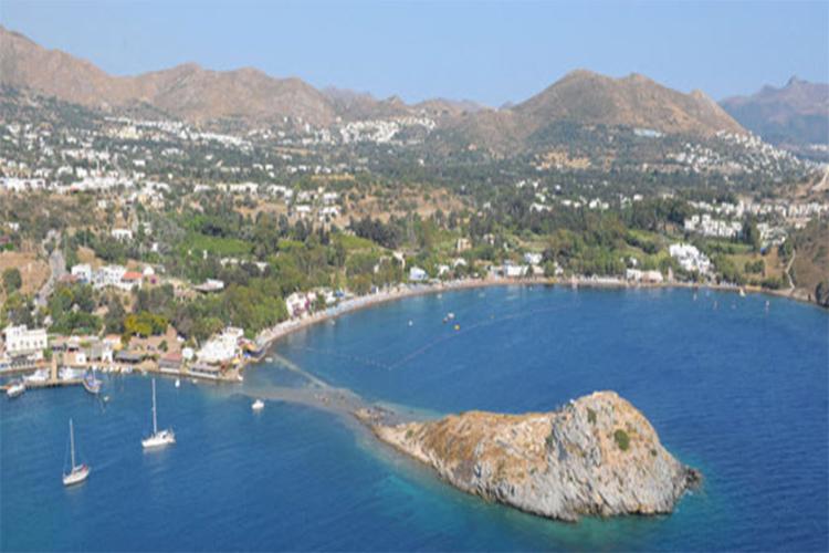 جزیره خرگوش
