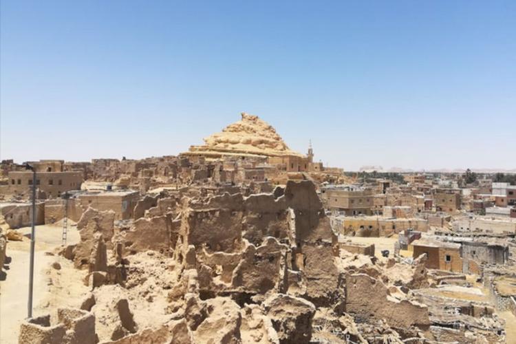 قلعه شالی