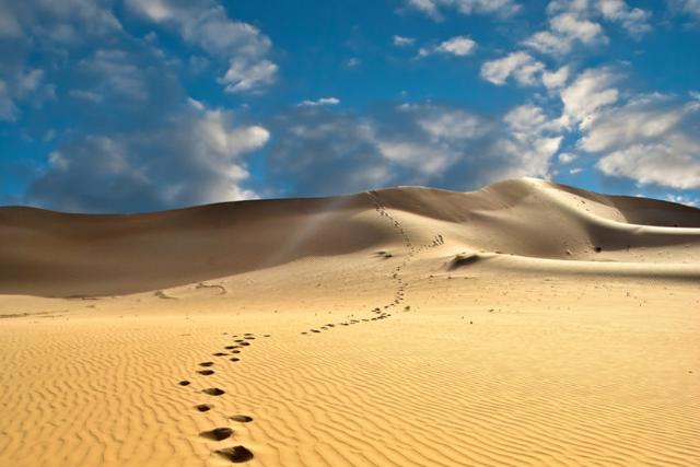 پارک ملی تپه های شنی سیگاتوکا
