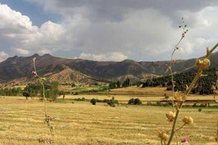 تفرجگاه سورین