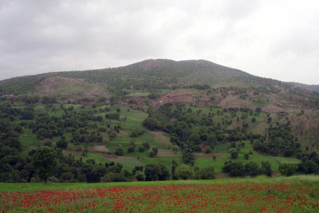 تفرجگاه نجنه