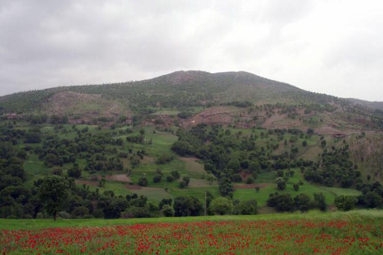 تفرجگاه نجنه
