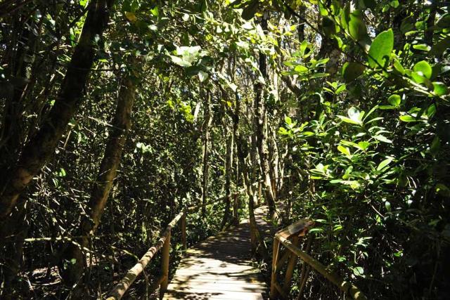 پارک ملی فری خورخه