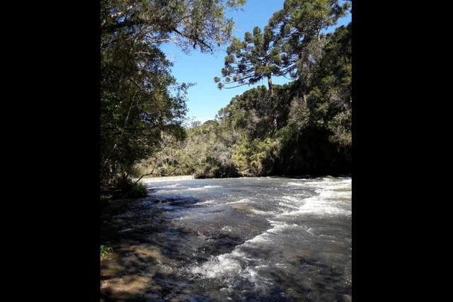 پارک ایالتی کاراکول