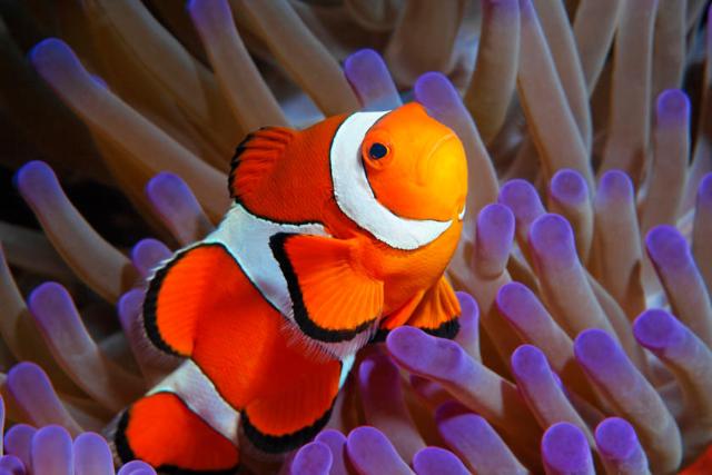 پارک ملی دریایی بوناکن